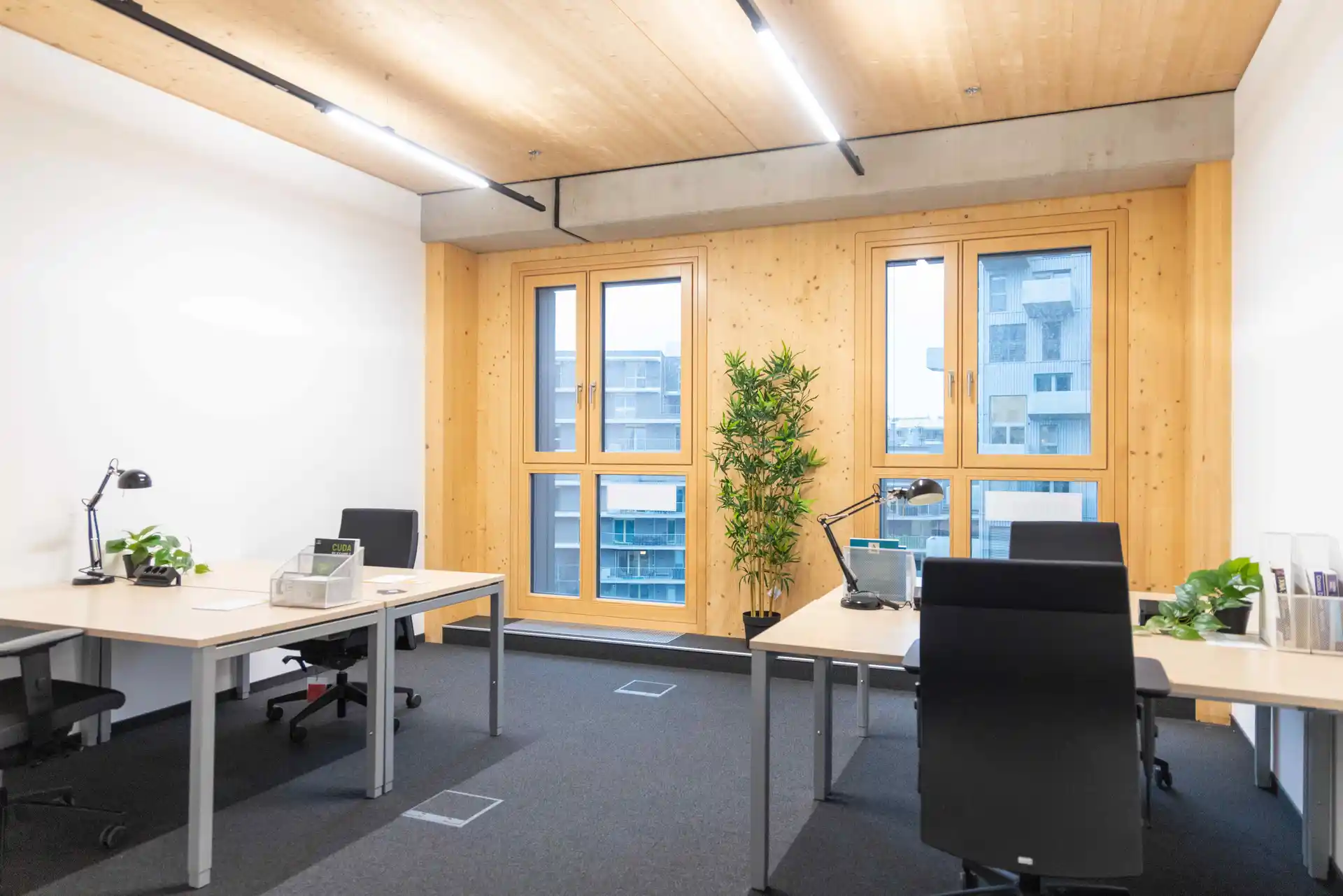 Janis-Joplin Promenade 26 image 16