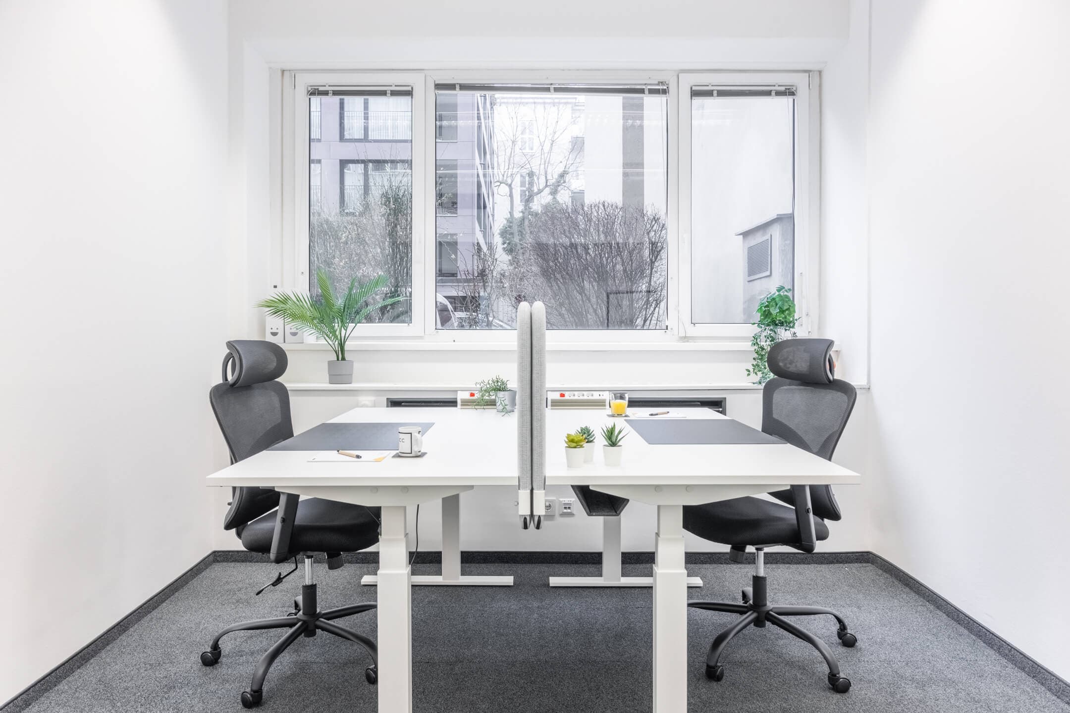 Wohllebengasse 12-14