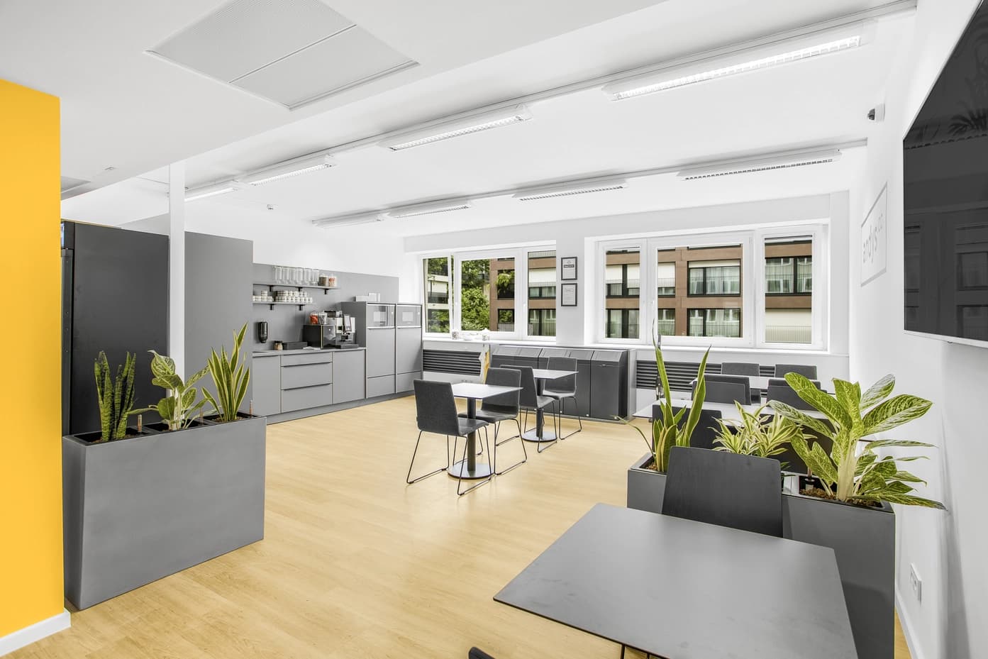 Wohllebengasse 12-14 image 8