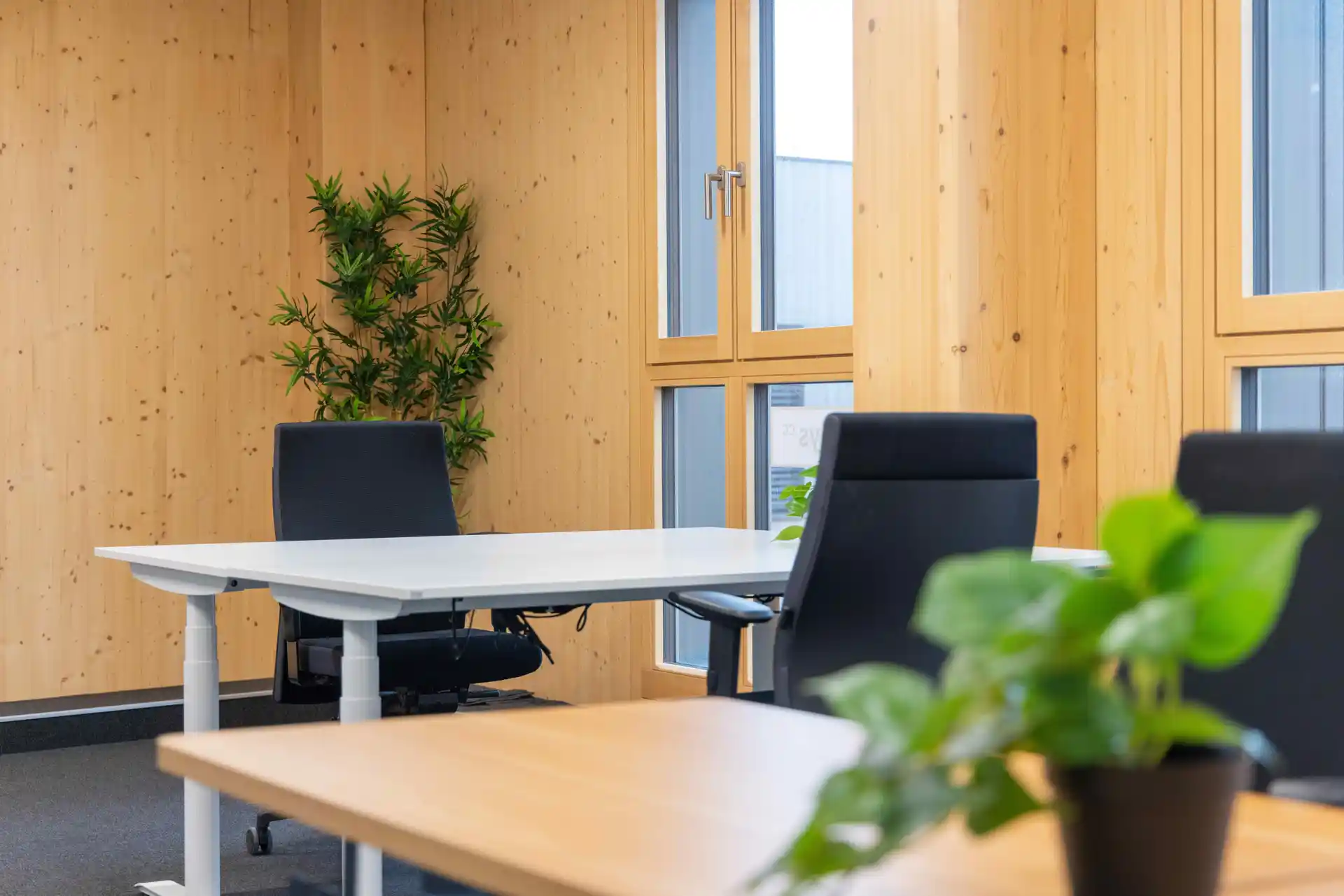 Janis-Joplin Promenade 26 image 14