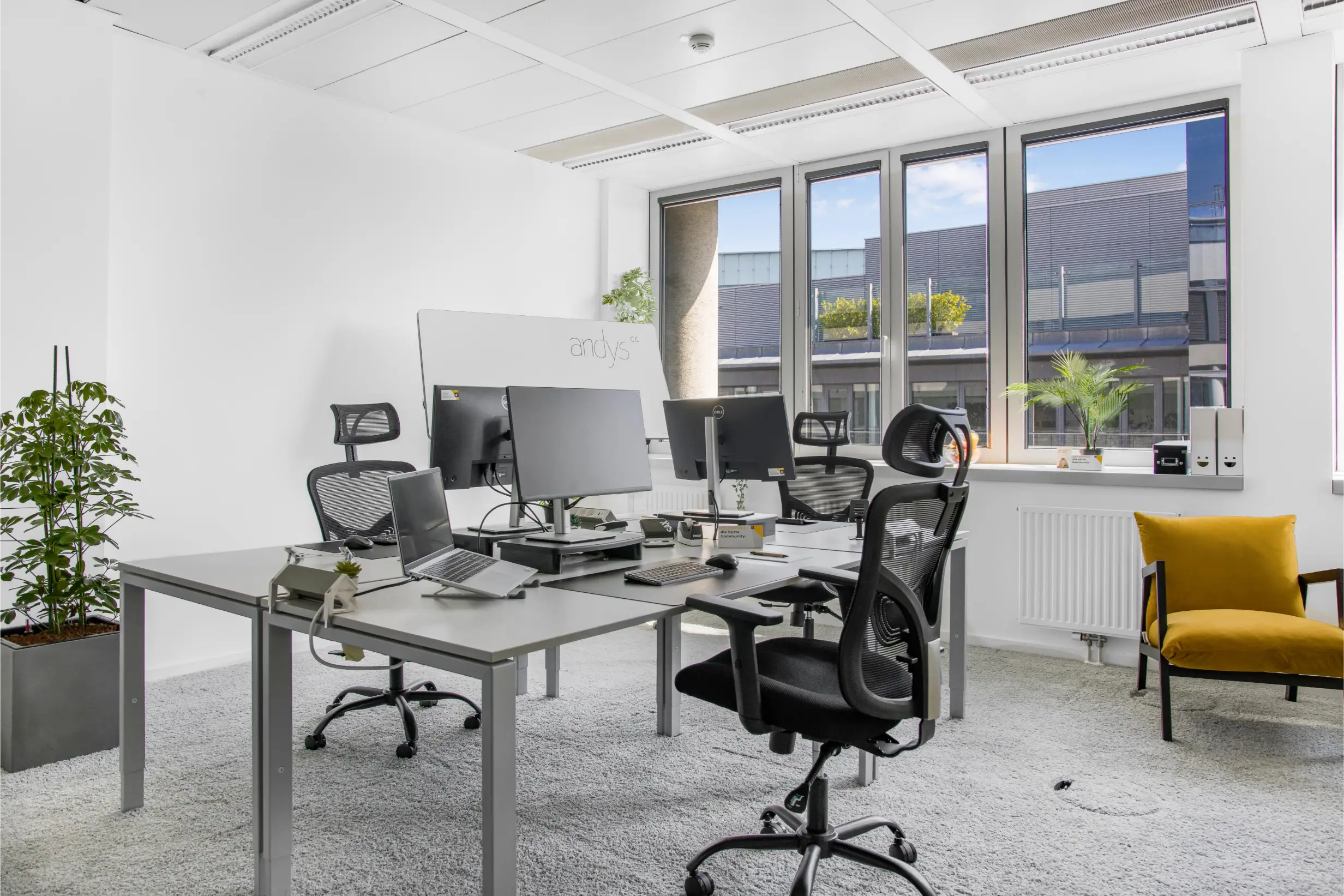 Coworking im 1. Bezirk, Wollzeile 11 image 2