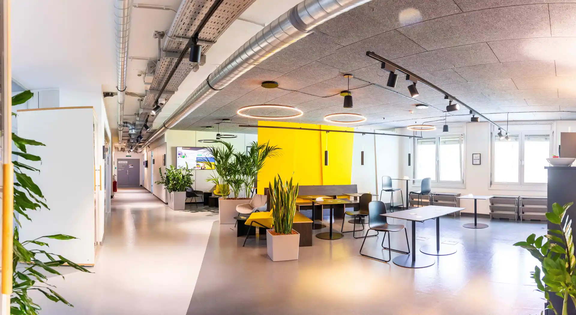 Lassallestraße 7b image 3