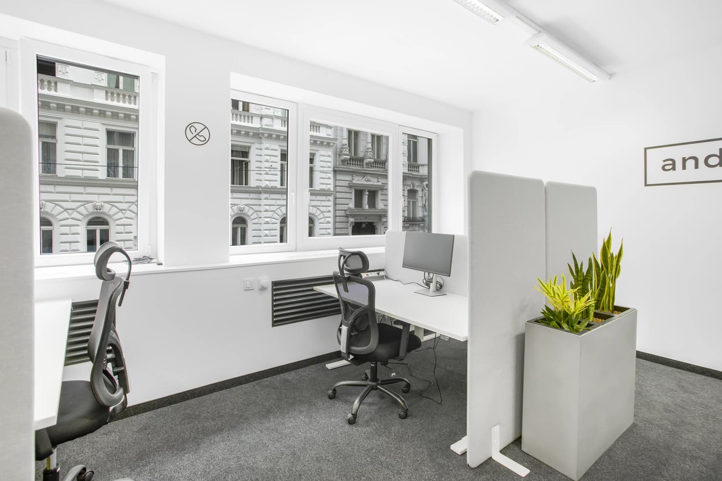 Wohllebengasse 12-14 image 2