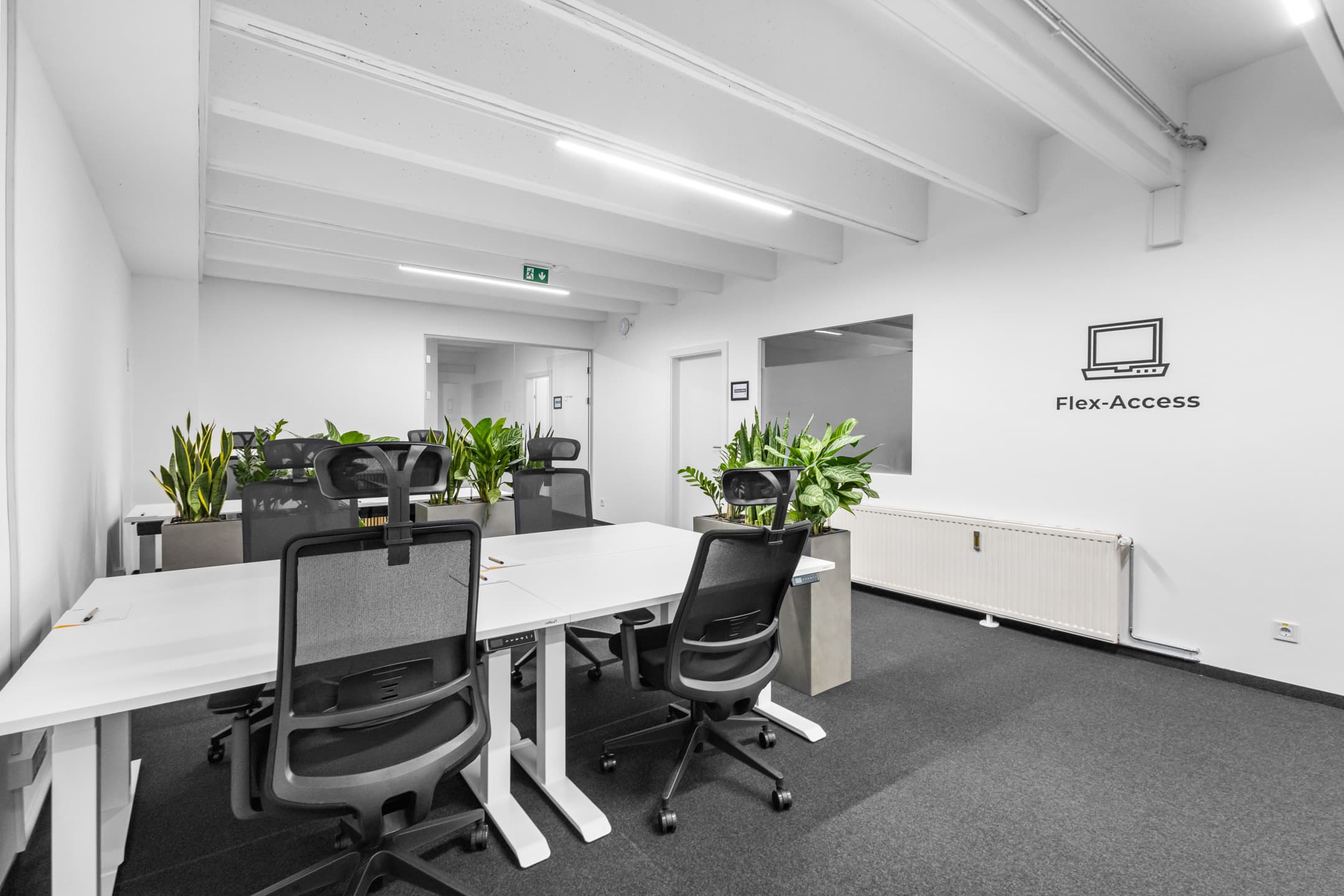 andys "Graz Lend"  image 9