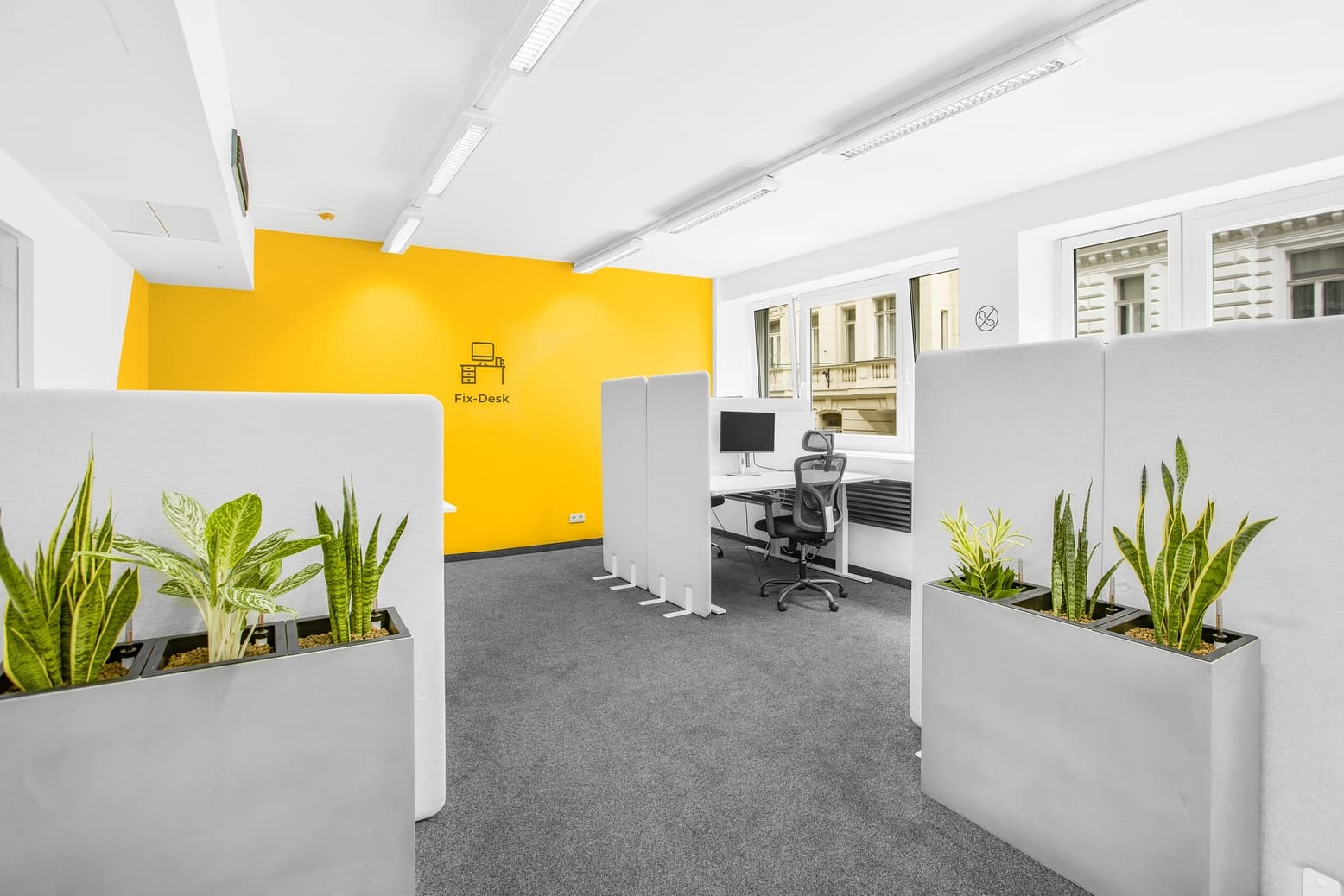 Wohllebengasse 12-14 image 4