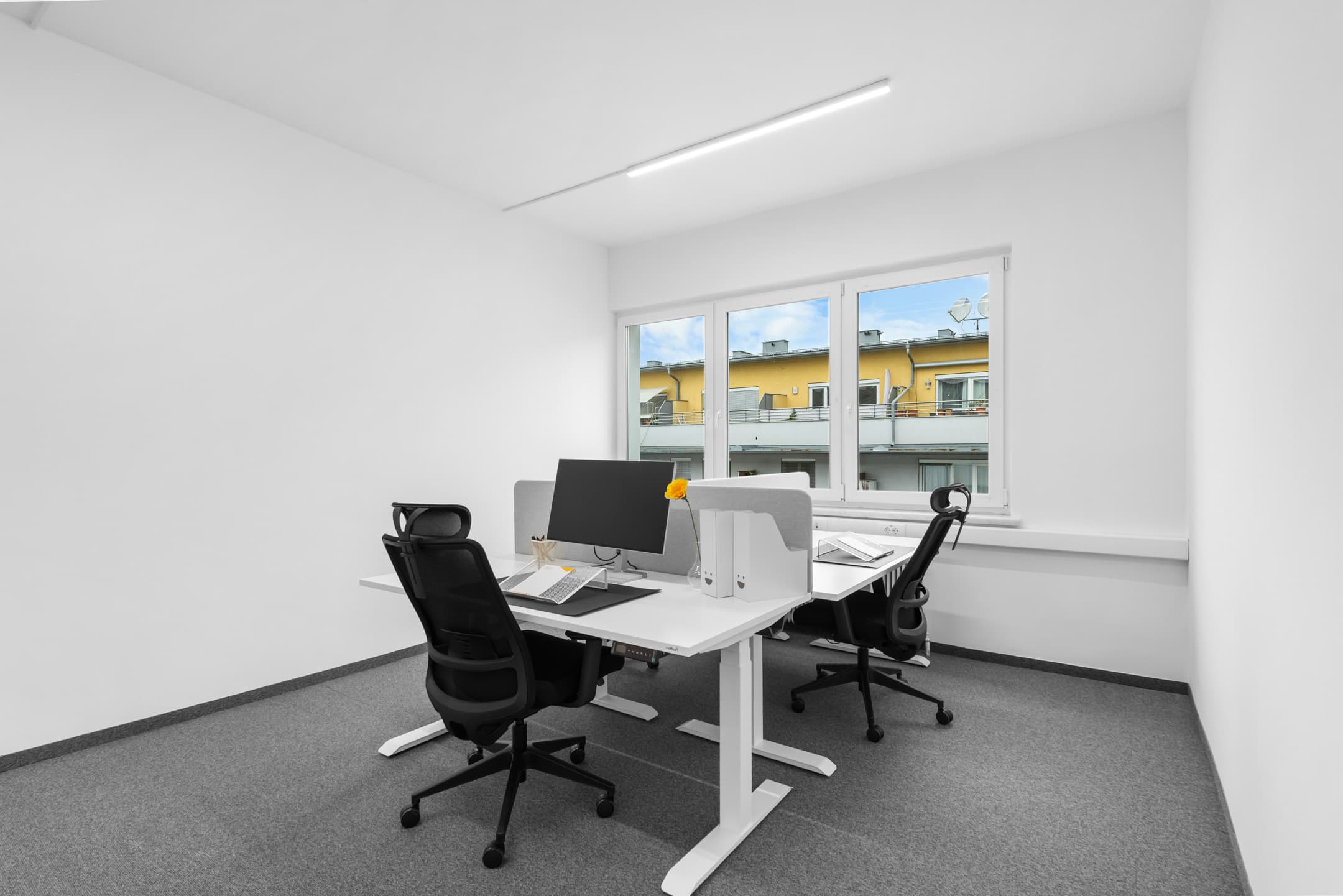 andys "Graz Lend"  image 7