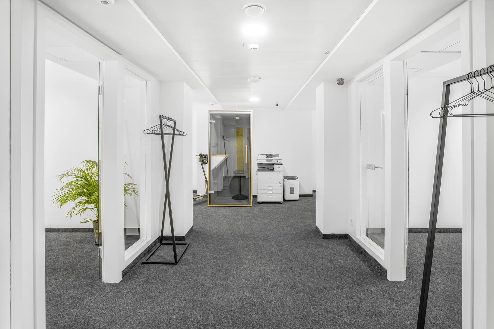 Wohllebengasse 12-14 image 6