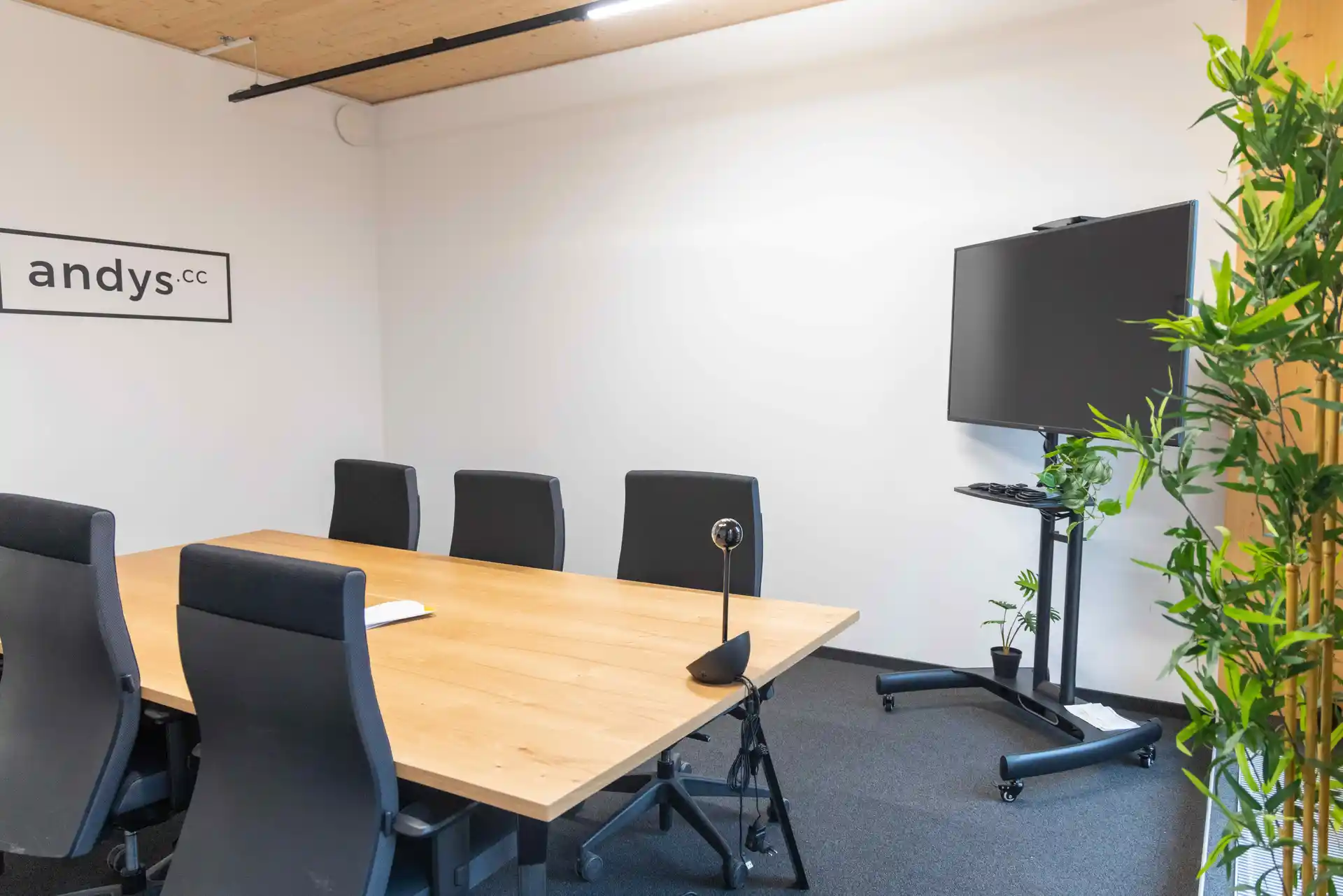 Janis-Joplin Promenade 26 image 12