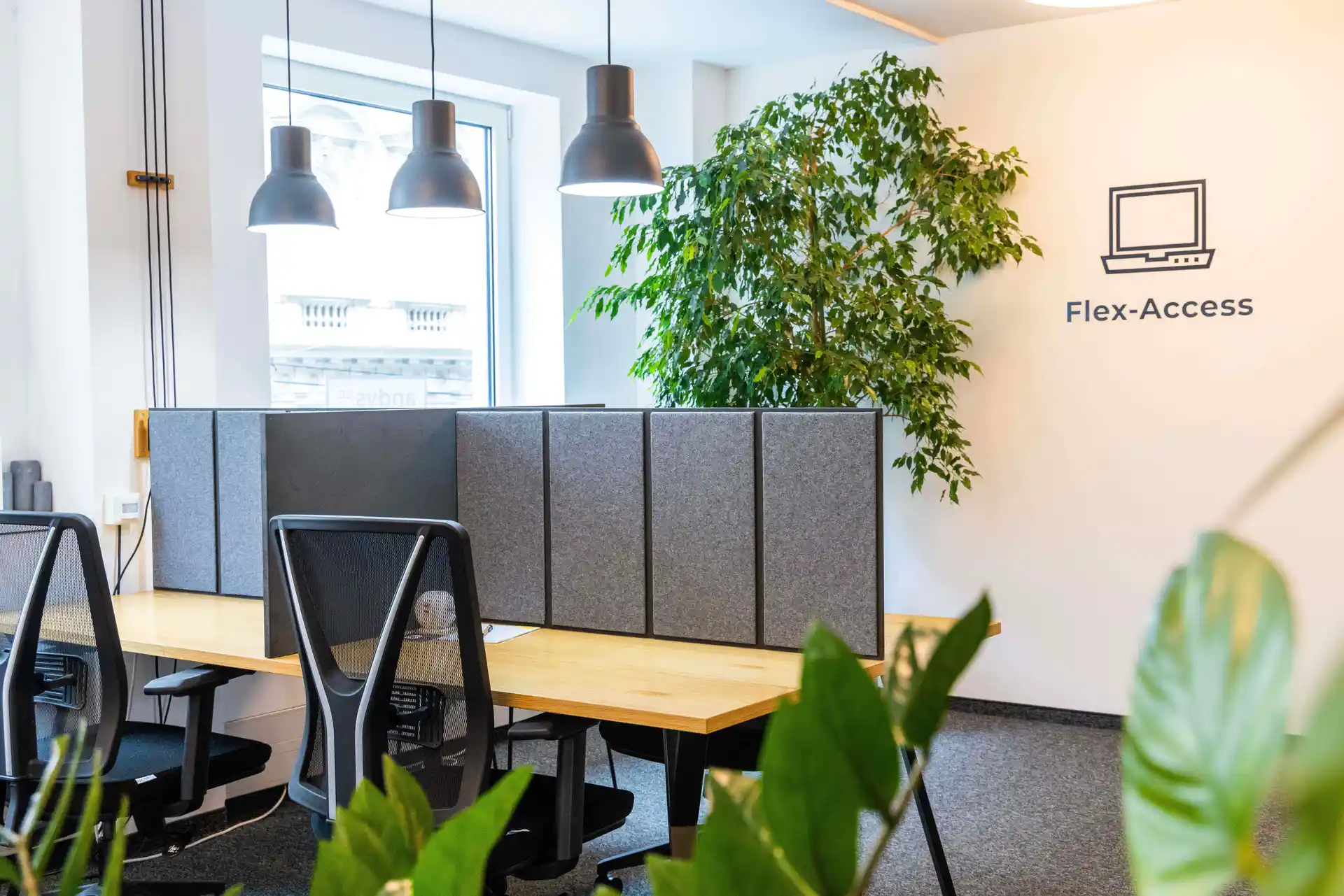 Gumpendorfer Straße 19 image 3