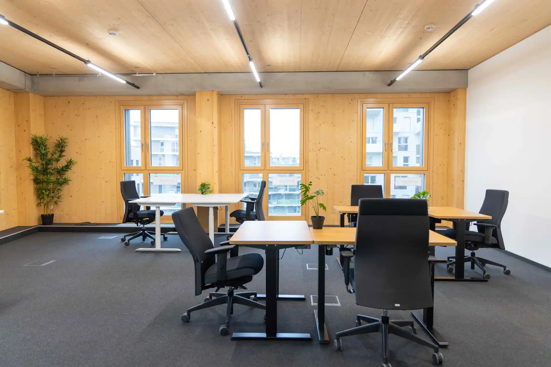 Janis-Joplin Promenade 26 image 8